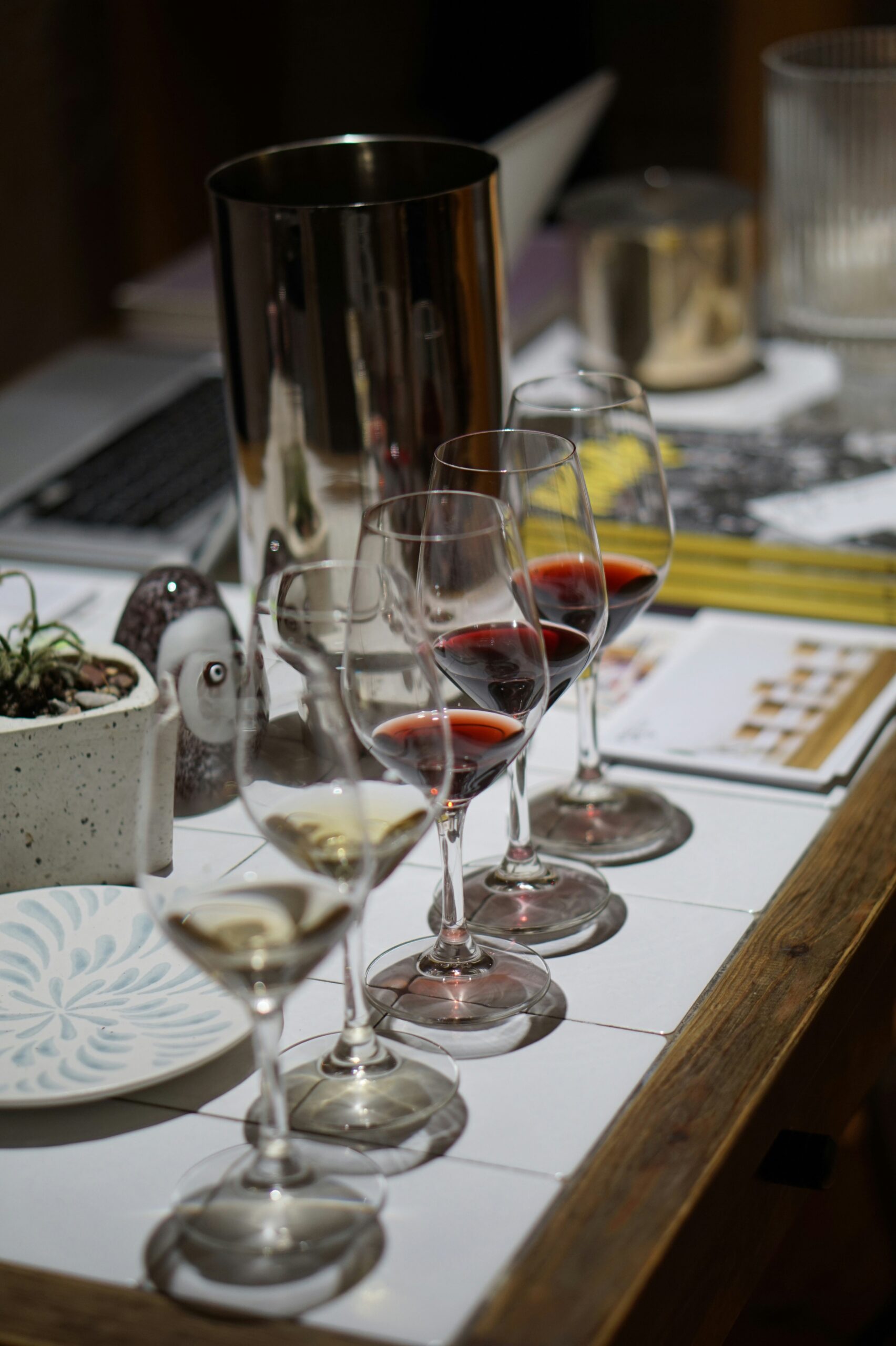 vila za najam, degustacija vrhunskih dalmatinskih vina uz privatnog sommeliera